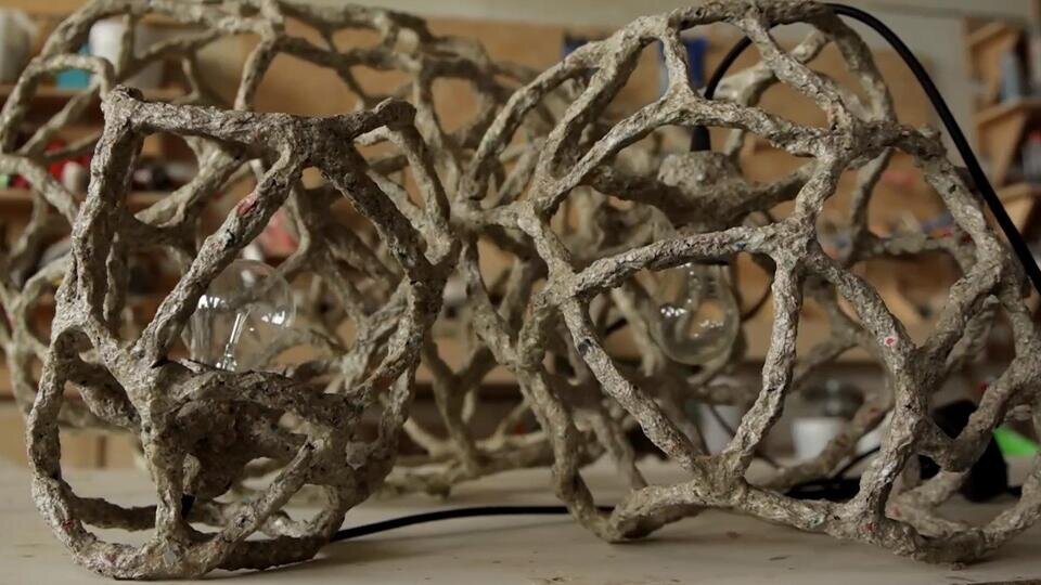 Фото: © Скриншот видео