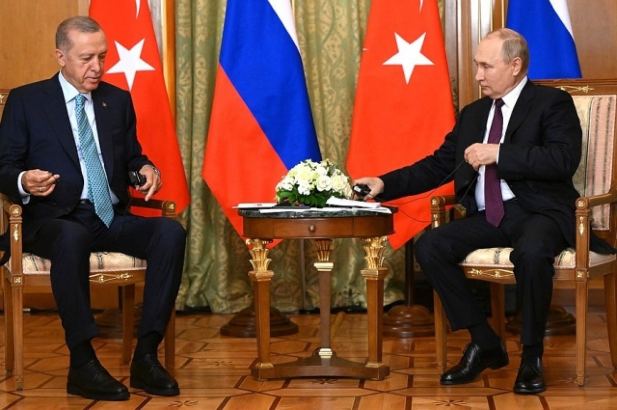    РИА Новости: Путин и Эрдоган могут обсудить зерновую сделку по телефону