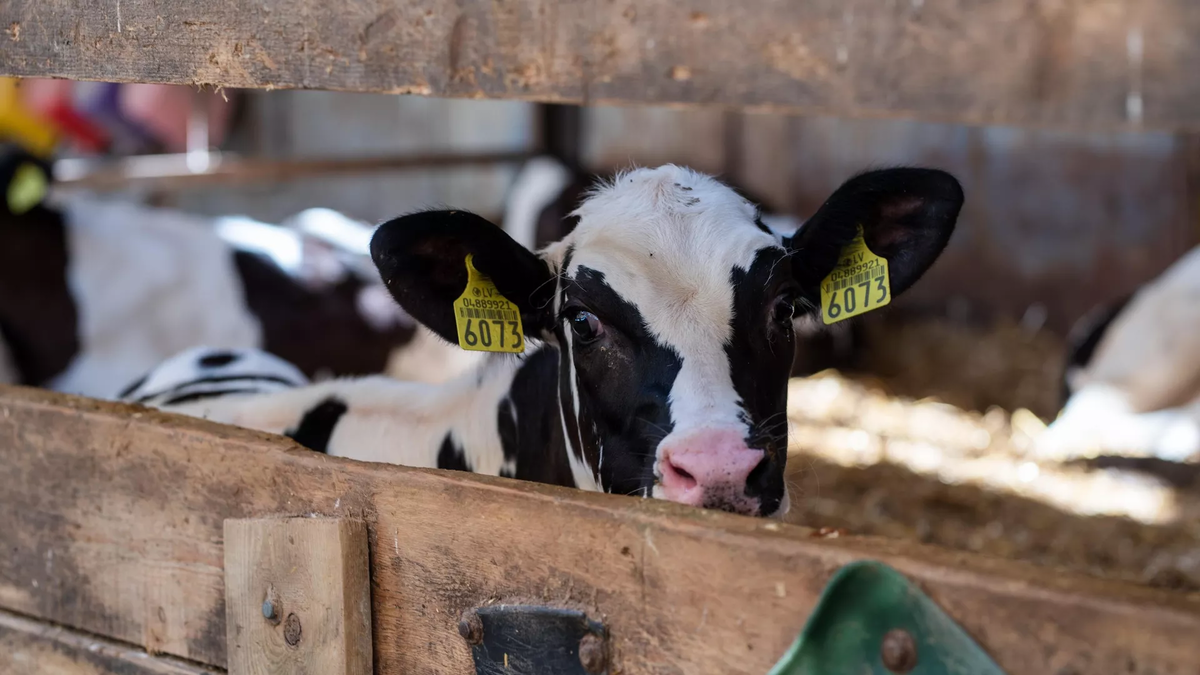 CC BY-SA 2.0 / Saeima / Reinis Inkēns / Tautsaimniecības, agrārās, vides un reģionālās politikas komisijas un Ilgtspējīgas attīstības komisijas izbraukuma sēde