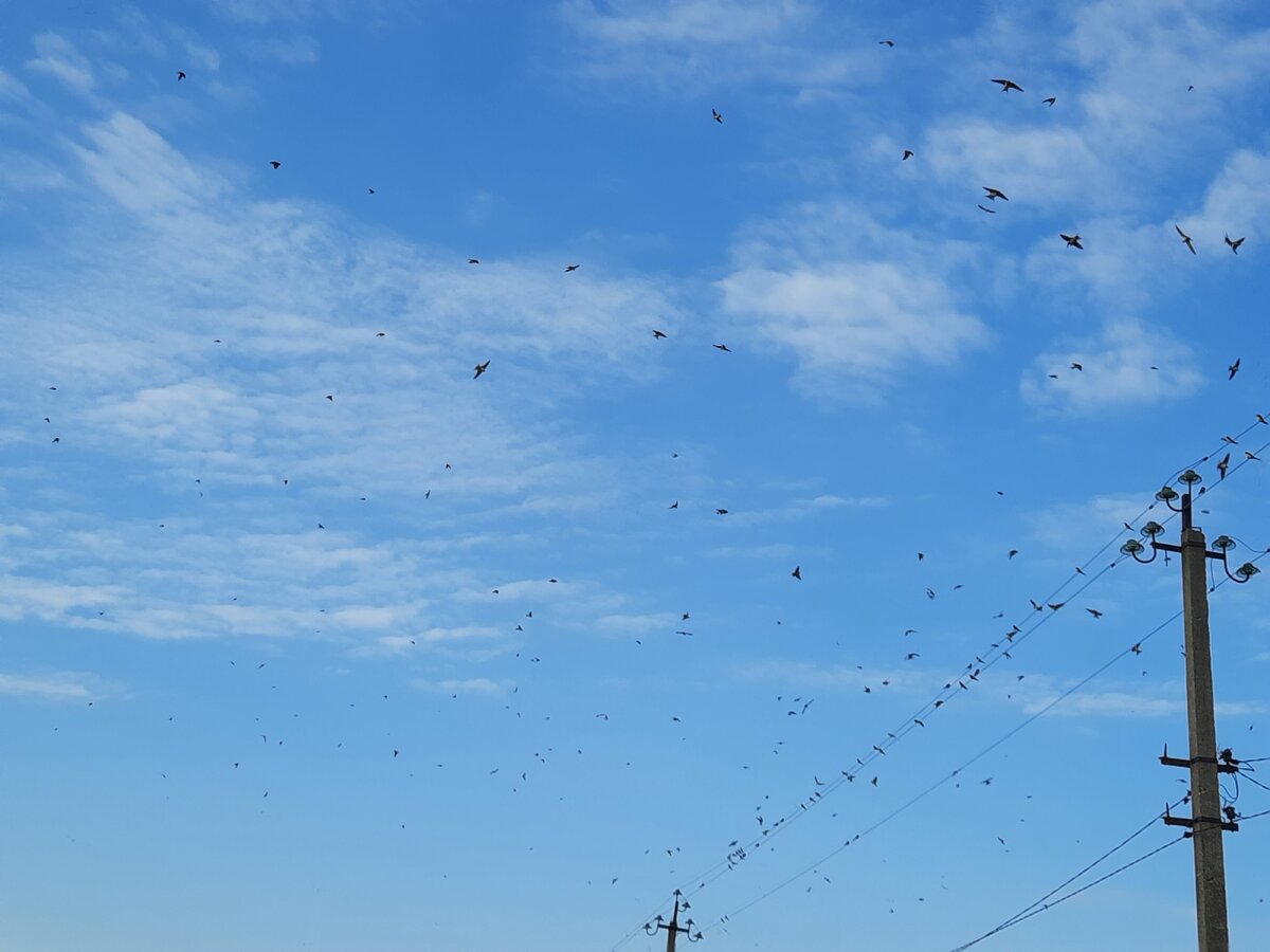 А над головой распахнутое настежь небо!