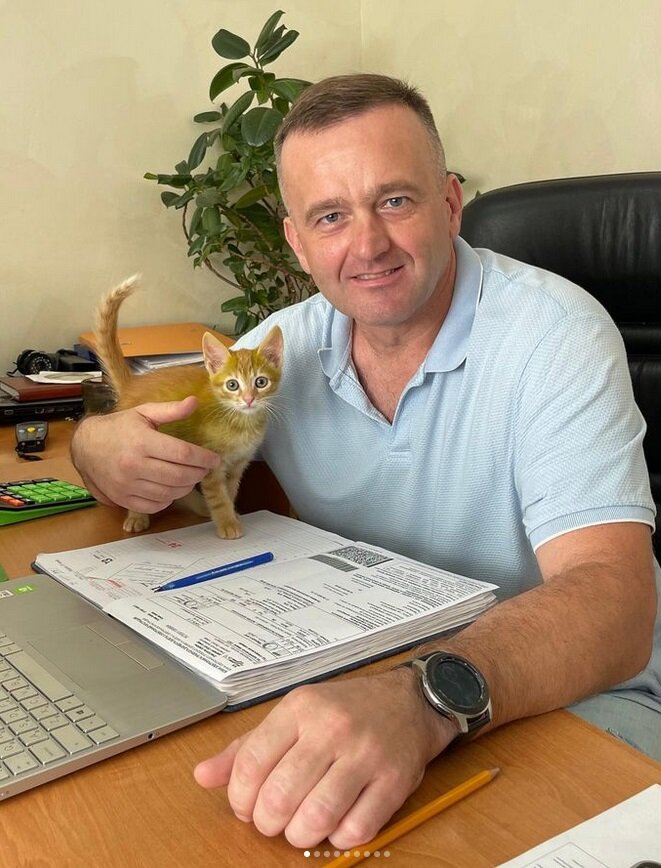 «Никто его не красил!» — Белорусам предложили 50 рублей за имя для «сенсационного» зелёного котёнка из Гродно — Фото