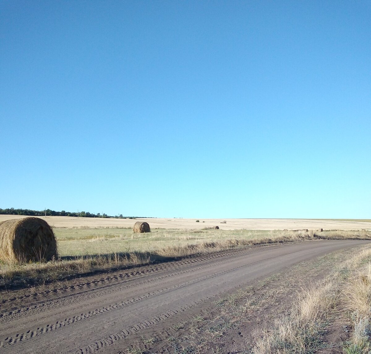 Фото автора. Дорога.