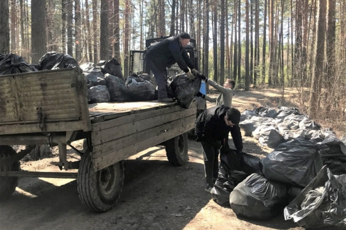    Уральцам напомнили о необходимости вывоза мусора после осенних субботников