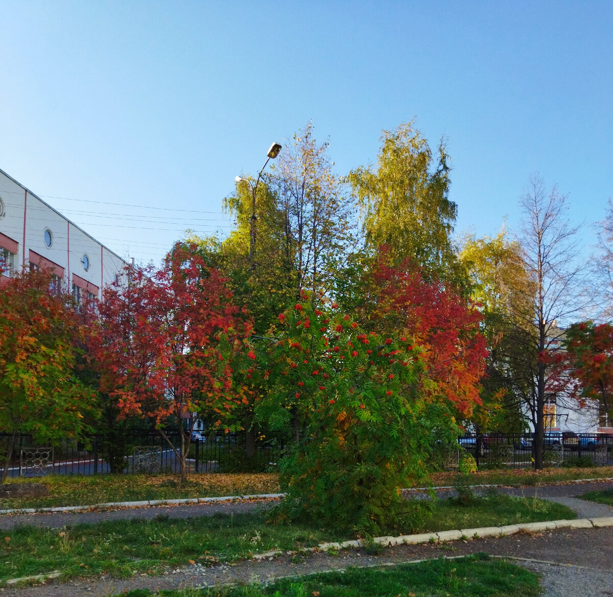 Фото автора