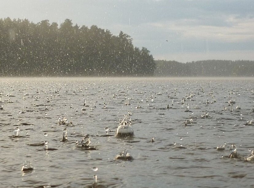 Рыбалка во время дождя. Разбираемся, лучше или хуже клюёт рыба, и как погода влияет на клёв | VK