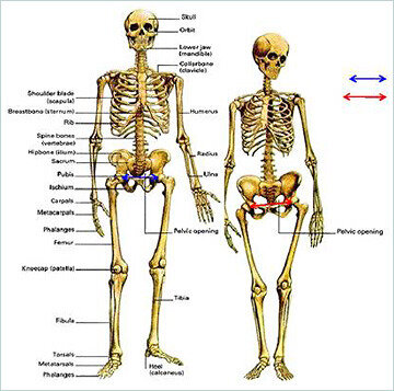 Картинка из интернета.