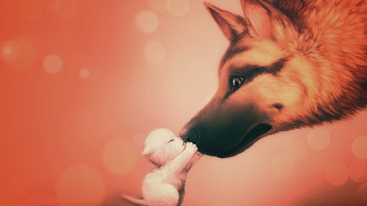 Фото с сайта oboi.ws