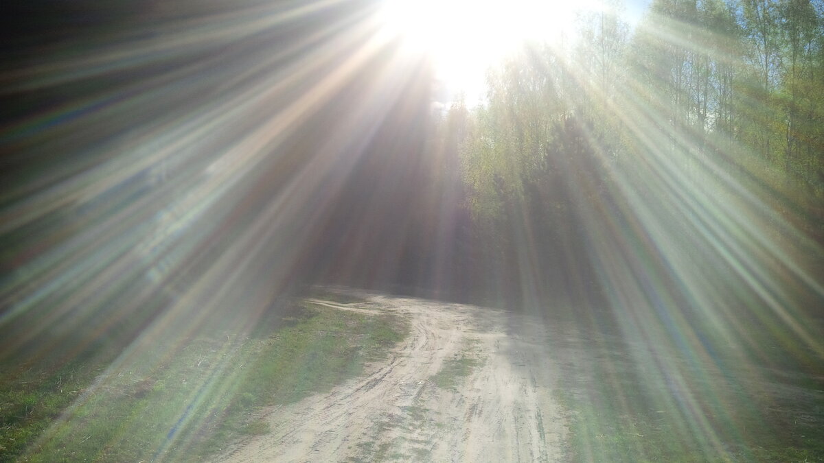 Присмотритесь, левая часть фотографии.