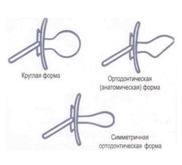 С соской до восьми лет: почему в Италии не отучают детей от сосок и подгузников