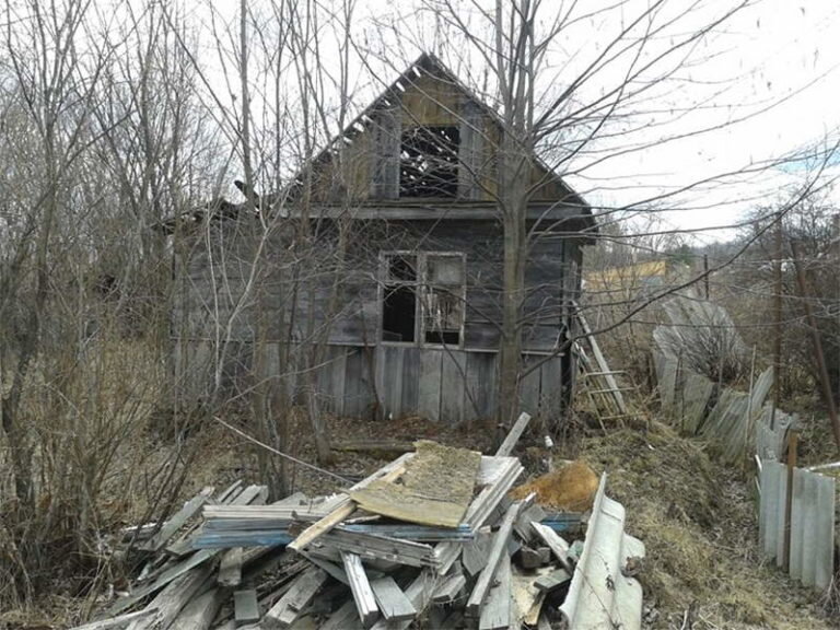 Примерно такая картина меня ждала на участке