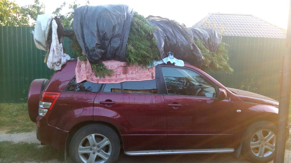 К сожалению ёлка не прижилась!