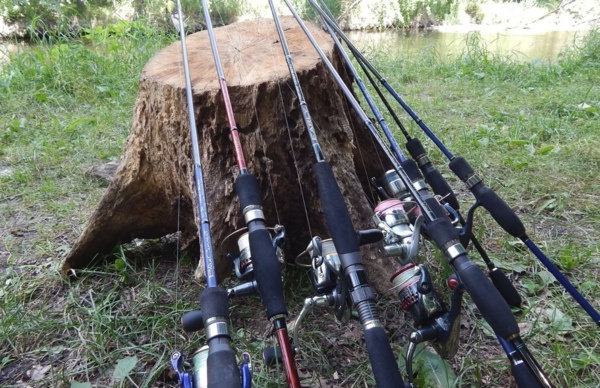 удочки-спиннинги