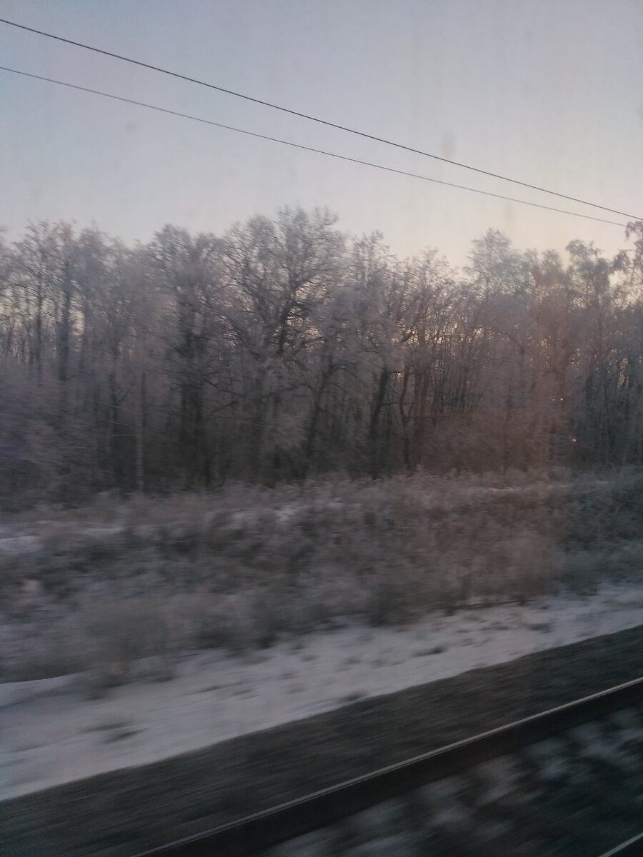 Так себе попутчик или Wi-Fi на РЖД | Алексей Андронов | Дзен