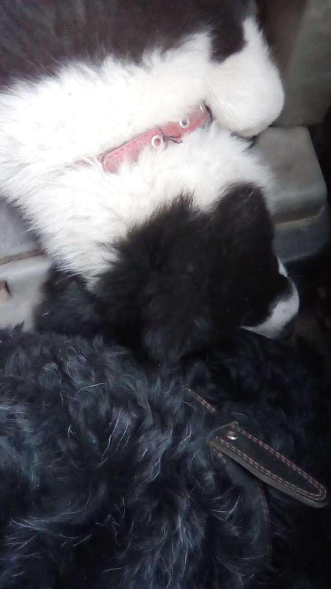 Спали и на руках и между сидениями и на ступеньке около двери...