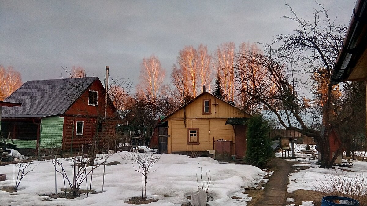 кухня, совмещённая с баней