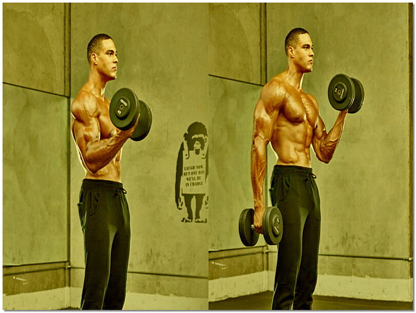 Источник фото: https://armsport-yanao.ru