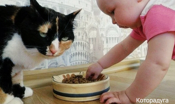 Источник: pinterest.com