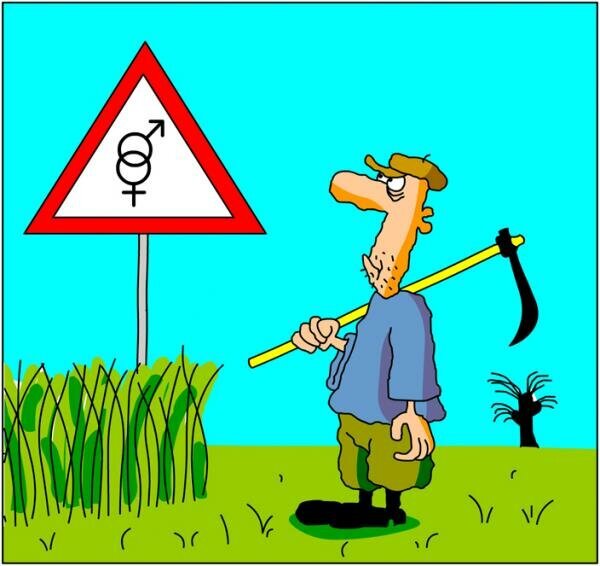 Картинка взята с https://www.anekdot.ru/i/caricatures/normal/10/11/21/10.jpg