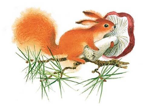 Изображение взято из открытых источников