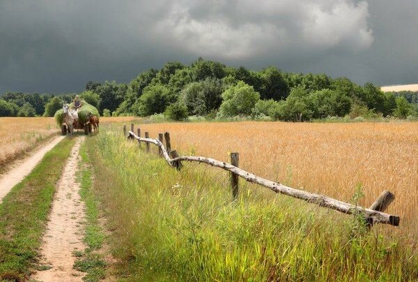 фото из интернета.