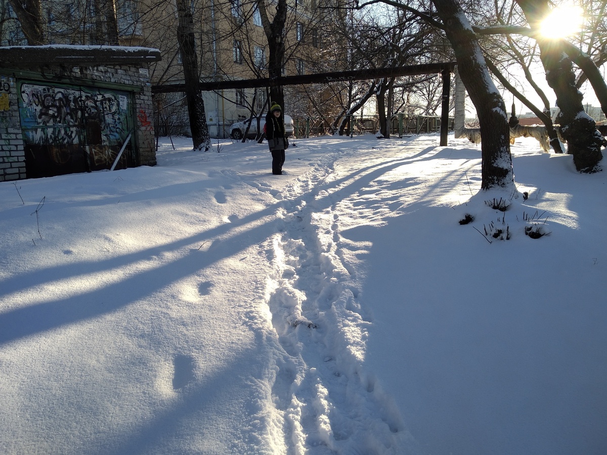 это 16 марта, лесок, через который мы ходим иногда с мелким, до этого сутки мело и вот, намело)