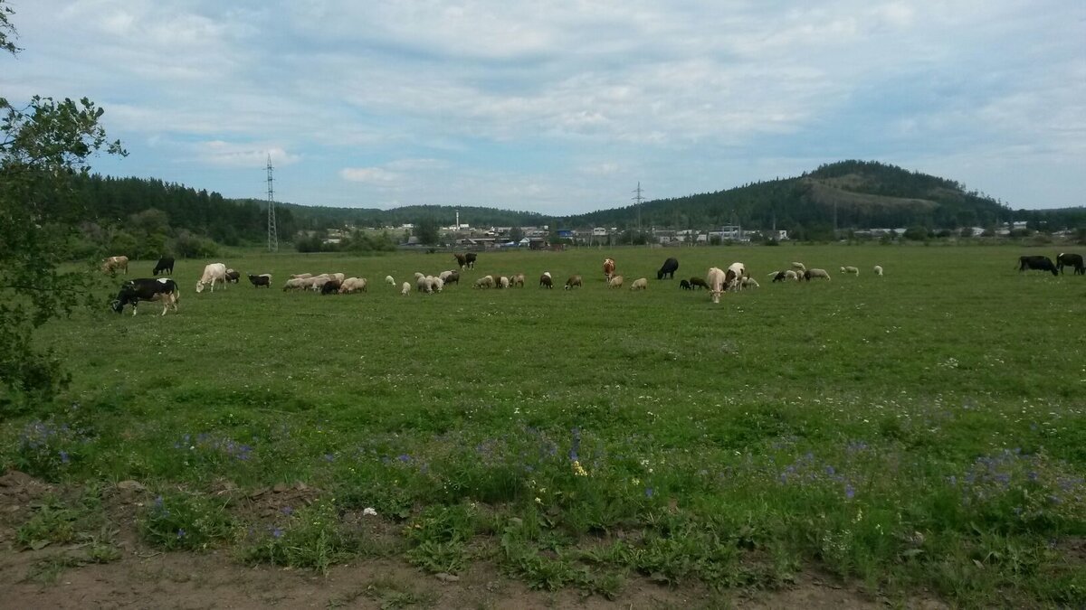 Фото автора