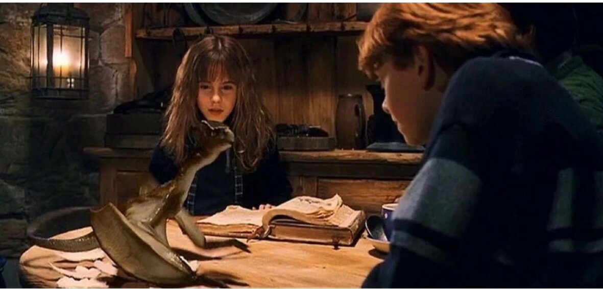 Норберт. Гарри Поттер и философский камень