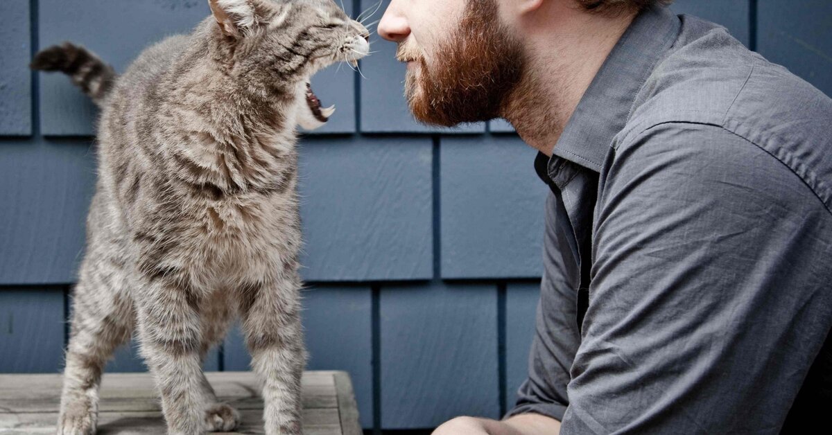 Источник фото: goodfon.ru