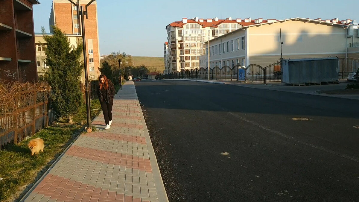 Братьям нашим меньшим прогулки необходимы. А мы можем и дома посидеть))