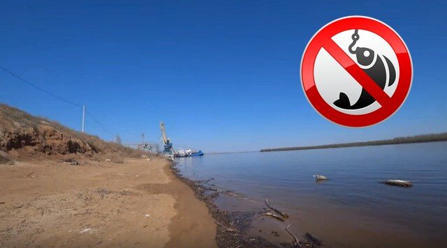Запрет на рыбалку с 16 мая. Запрет на рыбалку 2023. Запрет рыбалки 2022 Кировская область. Рыбная ловля запрещена до 10 июня в бел области. Запрет рыбалки на волге