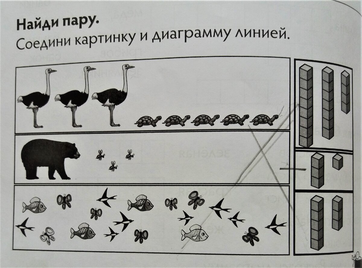 Учебник с ошибками и неточностями | Ростляндия | Дзен