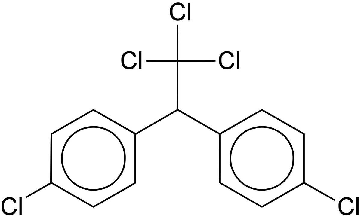 Вот такая она, молекула ДДТ...