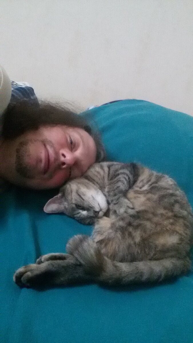 Любят друг друга! Редкое фото благостной кошки. Фото автора.
