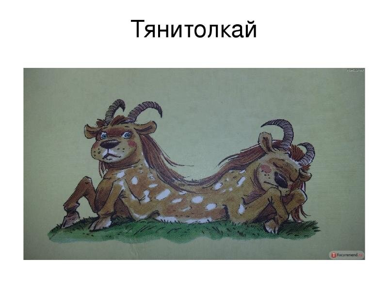 Изображение взято из открытого источника