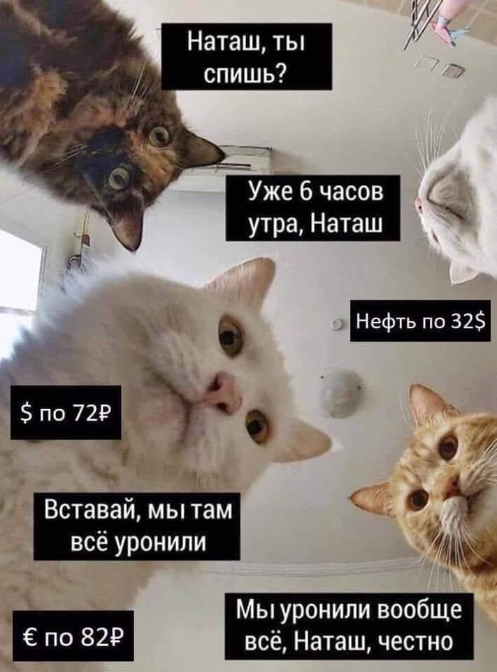 фото из открытого источника