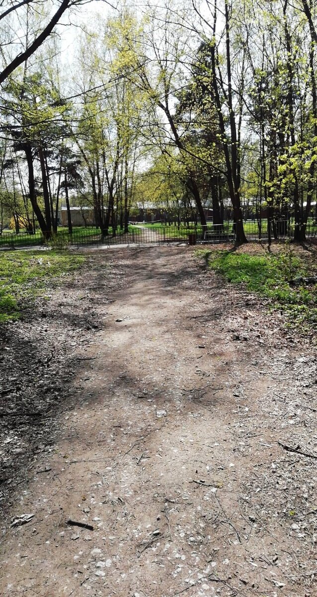 Рядом с парком в Москве