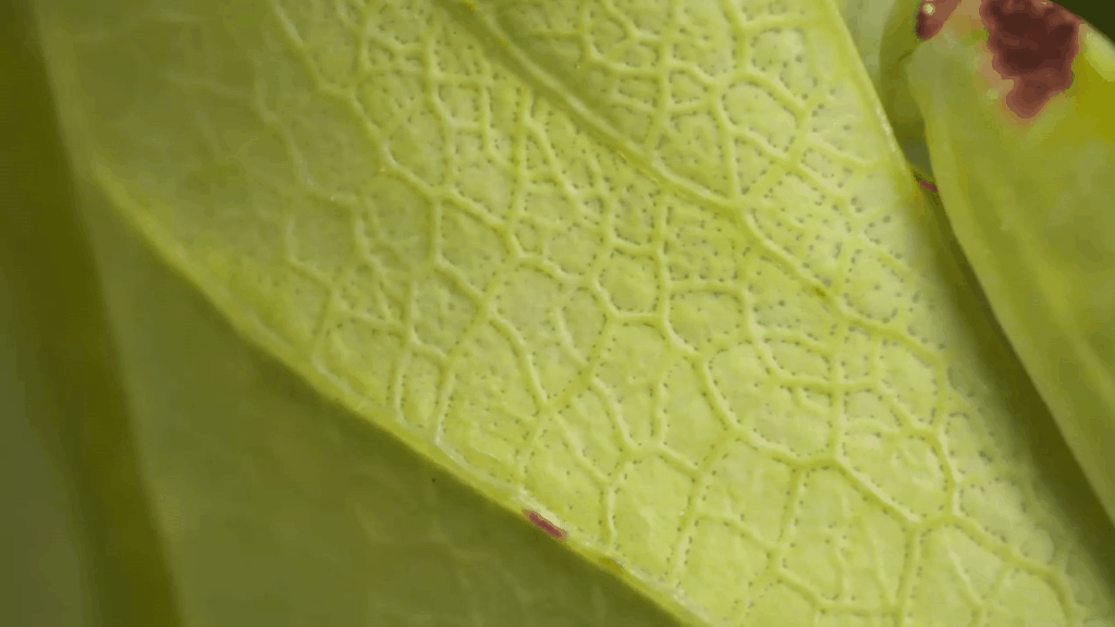 Источник: youtube.com