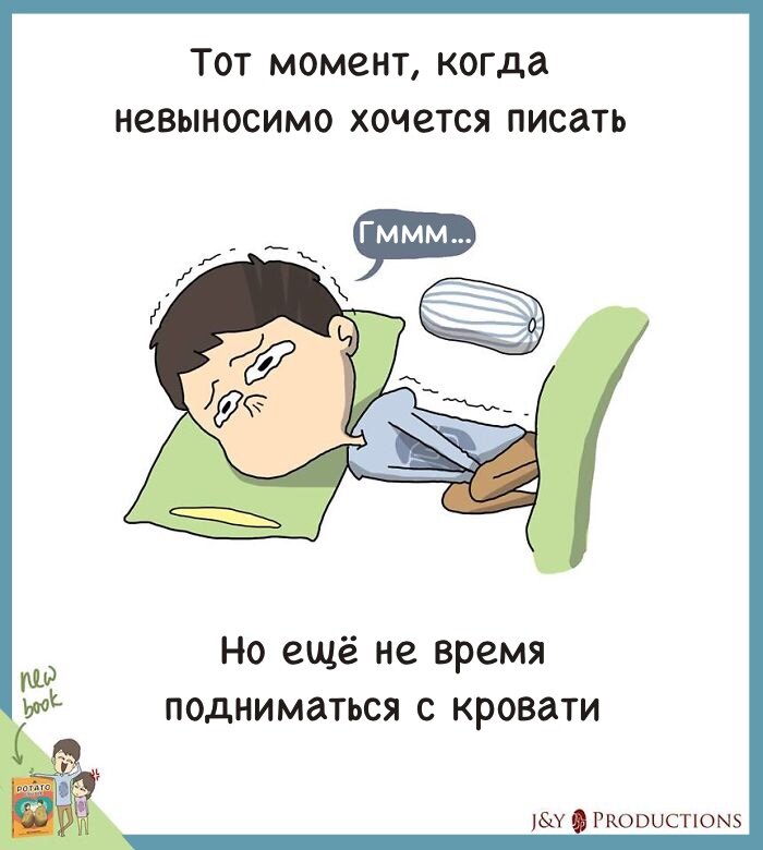 И так каждое утро...