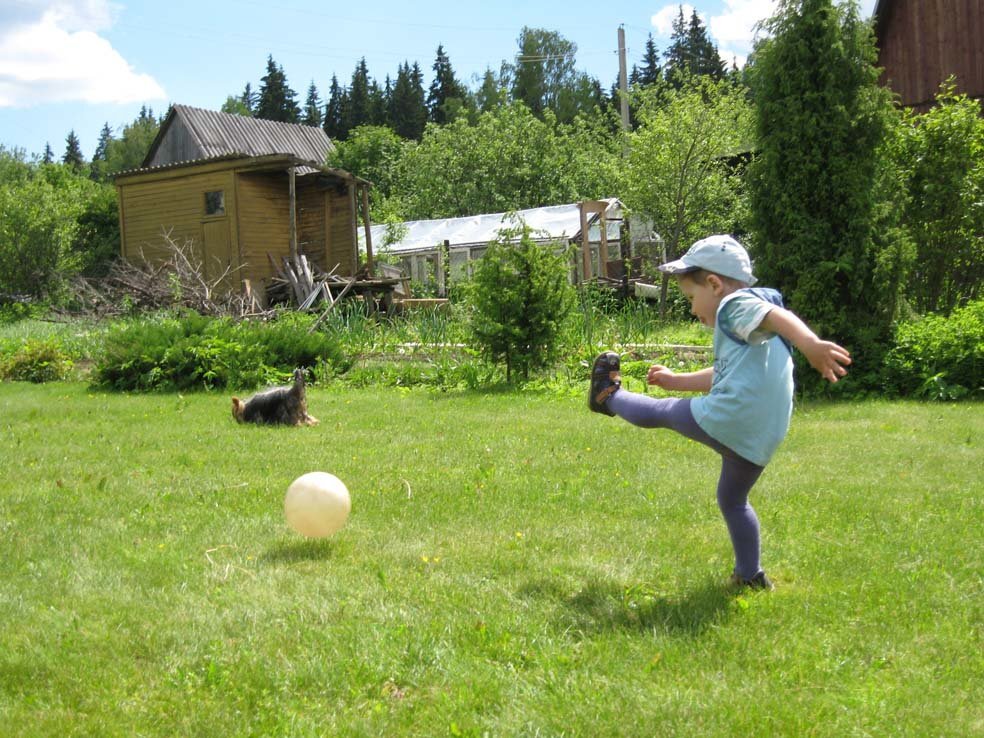 Фото Яндекс картинки