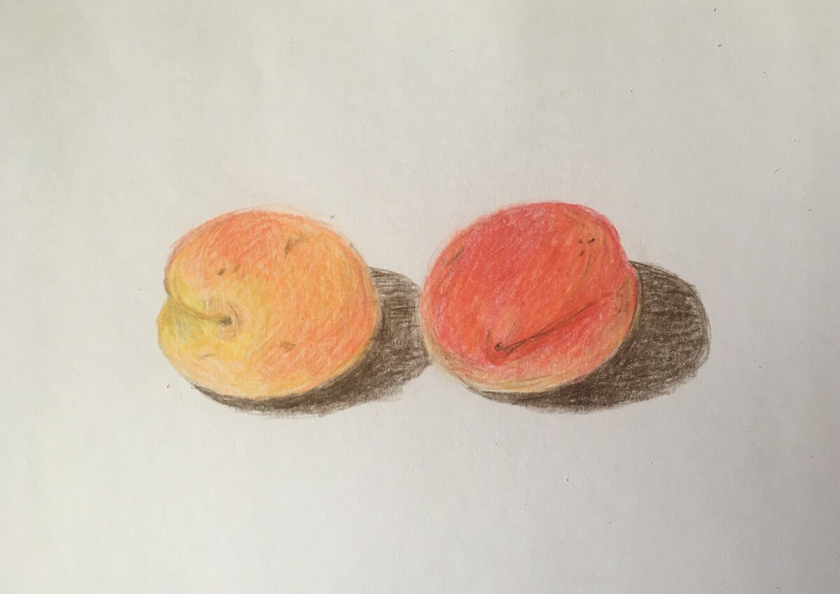 мой рисунок на тему