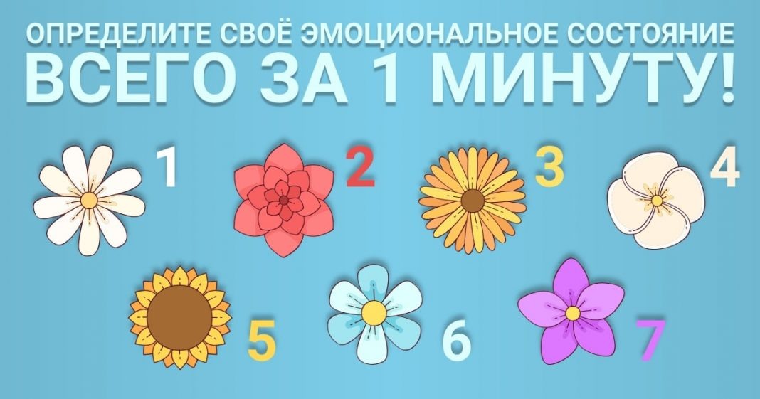 Фото https://testpokartinke.ru