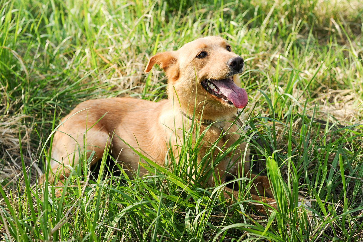 Хани сейчас