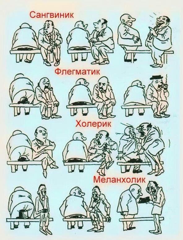 Известная картинка, показывающая как реагируют люди на одну и ту же ситуацию в зависимости от типа темперамента