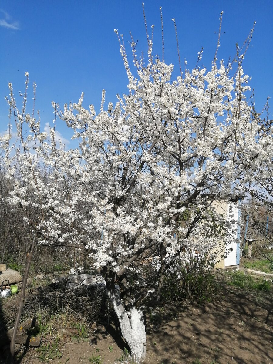 Деньги не падают с деревьев. Нужно поработать головой
