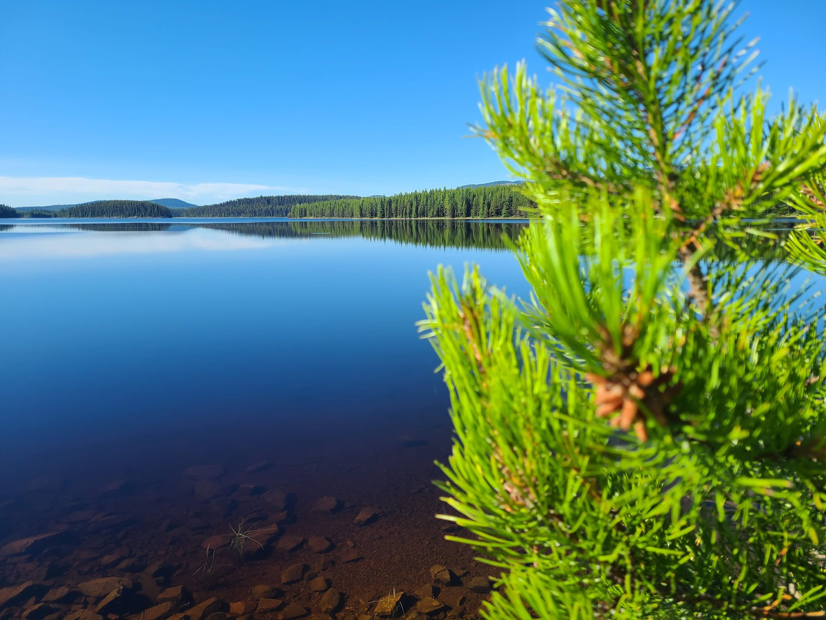 Вид утром из нашей палатки на Hydraulic Lake, Central Okanagan I, BC