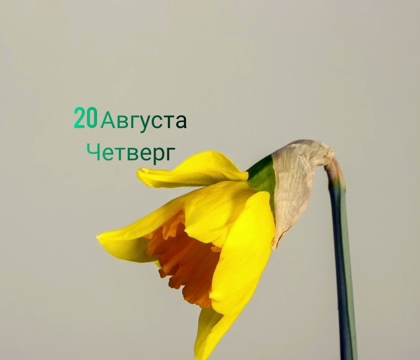 Астролог Джйотиш Севда Абдуллаева. Контакты, для получения моей личной консультации, анализа вашей натальной карты: +375296856956 WhatsApp, Viber, Telegram