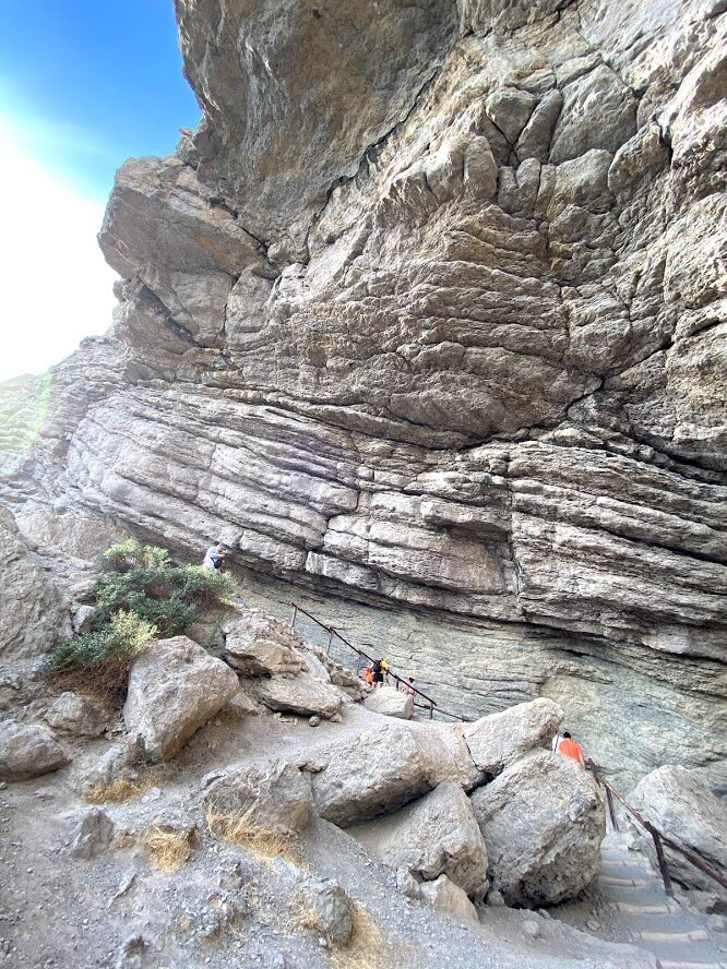 Тропа Глицына