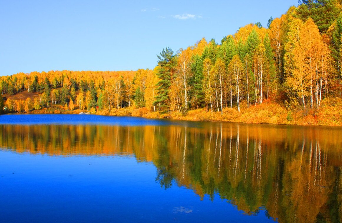 Фото из Яндекс Картинки