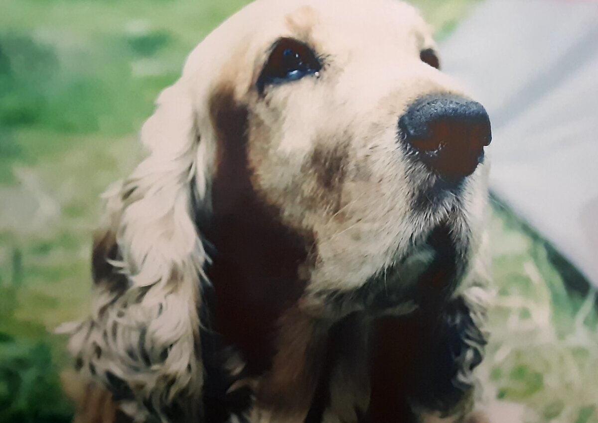 из личного архива