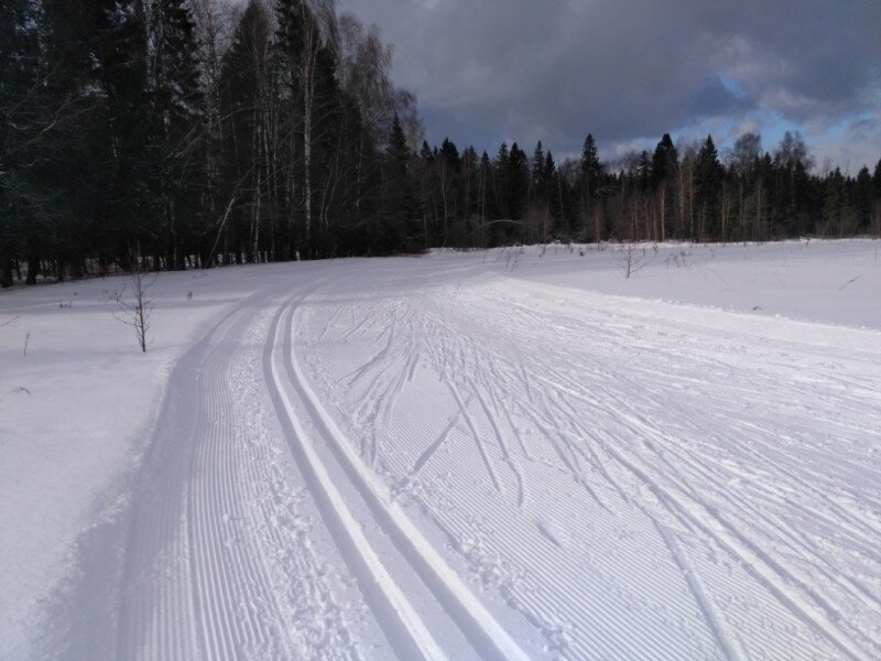 Мещерский парк беговые лыжи